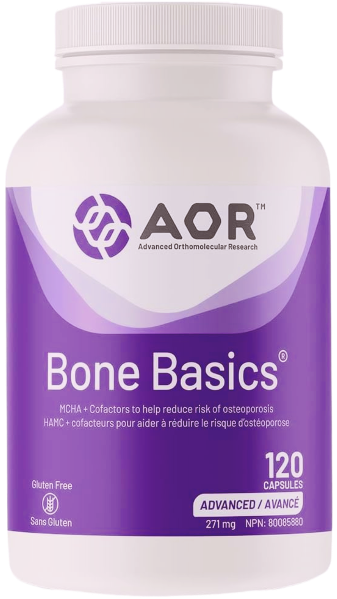 AOR Bone Basics