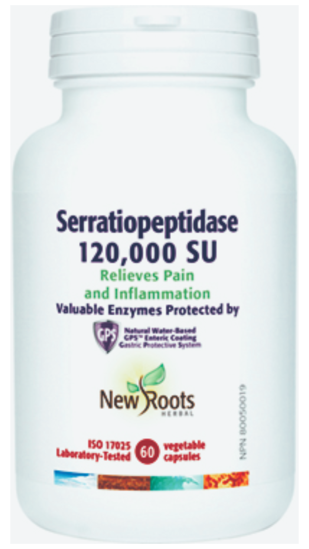 New Roots Herbal Serratiopeptidase 120,000 SU Relieves Pain and Inflammation (60 Veg Caps)