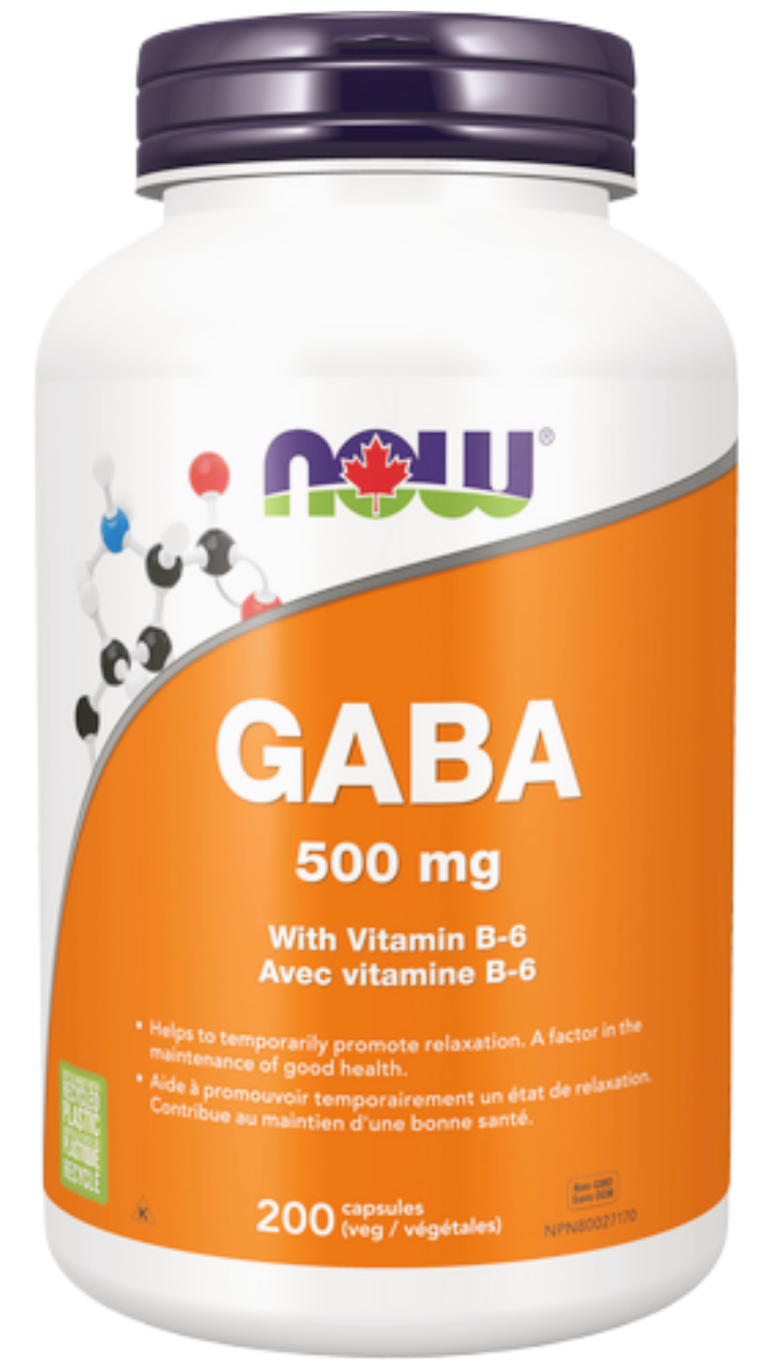 NOW Foods Gaba with B-6 500mg