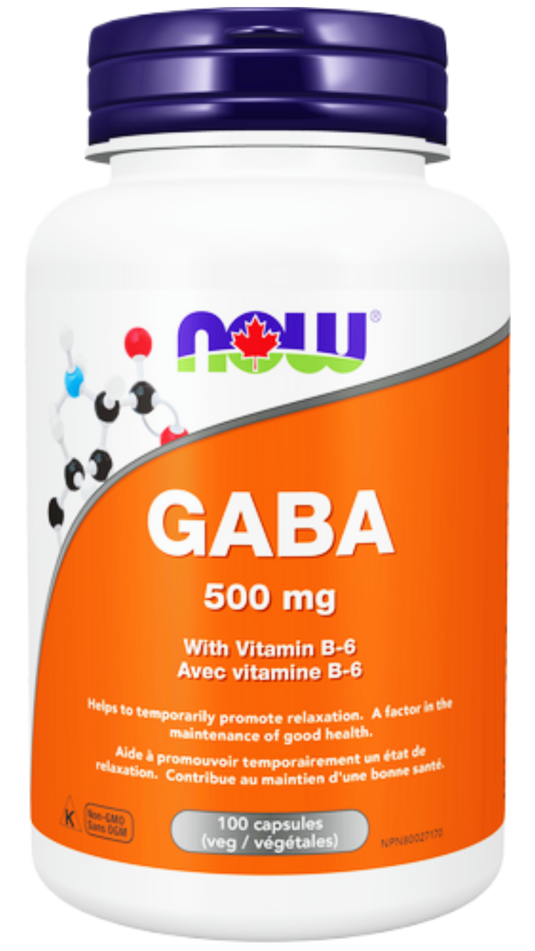 NOW Foods Gaba with B-6 500mg