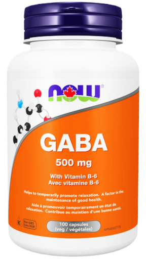 NOW Foods Gaba with B-6 500mg