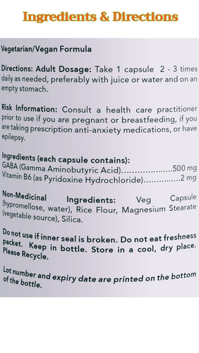 NOW Foods Gaba with B-6 500mg