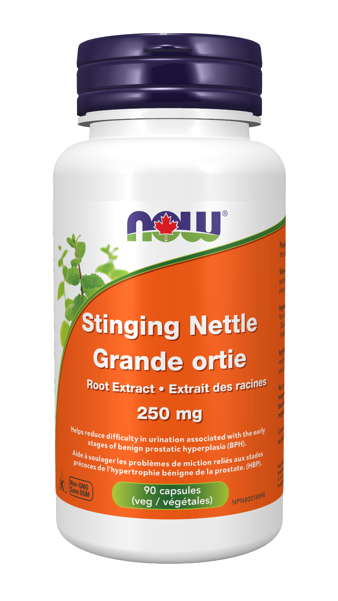 NOW Stinging Nettle Root Extract 250mg (90 VegCaps)