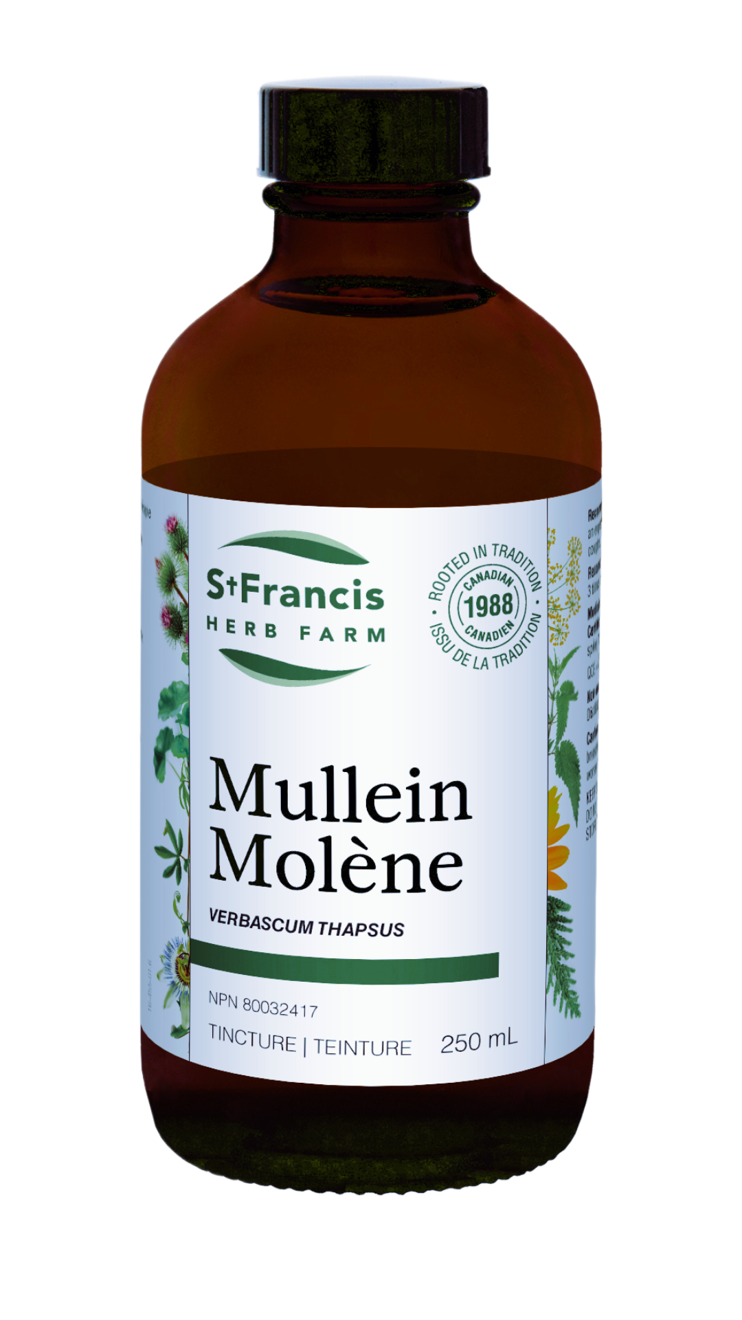 St. Francis Herb Farm Mullein Tincture